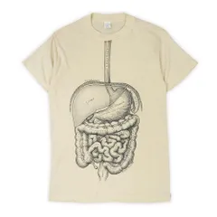 レスリー・アーウィン Leslie Arwin 70s 70年代 人体解剖図 アート ART シングルステッチ 内臓 骨格 標本 珍品 USA ヴィンテージ アメリカ 古着 メンズ Tシャツ ベージュ M【中古】