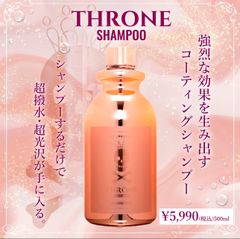 スローンシャンプー コーティングシャンプー 超撥水 超光沢 スパシャン SPASHAN 洗車 カーシャンプー