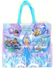 フローズンファンタジー2018 アナ雪　グッズ　まとめ売り　アナと雪の女王　レア 東京ディズニーランド“アナとエルサのフローズンファンタジー