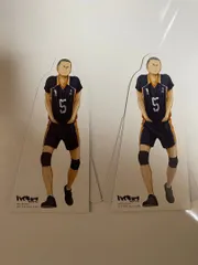 【セール!!実施中です!!】【2セット】ハイキュー!! セカンドシーズンミニスタンディ―POP 田中龍之介