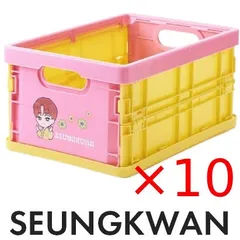 seventeen ミニティーン　プギュリ　スングァン　セット　2025 seventeen ミニティーン プギュリ スングァン セット 2025 SEVENTEEN