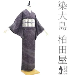 u*4様 未使用近い　美品　単衣　正絹　小紋　フルセット　身丈156 裄丈64 2025年最新】SB156の人気アイテム - メルカリ