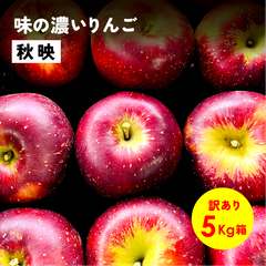 10月上旬発送予定「秋映5キロ箱訳あり品」農林水産大臣賞 長野県産 安曇野 信州産