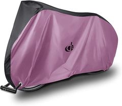 Item thumbnail for item c04cd0d8-10f5-4cf6-a745-7b93e7497523