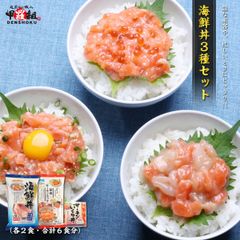 解凍するだけ🎵 三種のサーモン海鮮丼セット ６食入（3種×各2食）