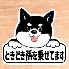 ときどき孫を乗せてます【黒柴.ボード】マグネットタイプ/シールタイプ/吸盤タイプ