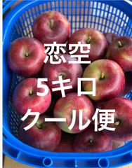 青森県産りんご恋空約5キロクール便