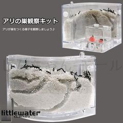 Item thumbnail for item 5eaeaf8b-b92a-4b53-ab43-632c46c35e41