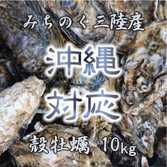 沖縄対応 生食OK 10kg 三陸産 殻付き生牡蠣 亜鉛 鉄分 ミネラル豊富