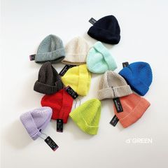digreen beanie 12Colors aerosilver ニット帽