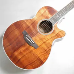 【激希少・美品】Takamine PTU408K N エレアコ セミハードケース 激希少・美品】Takamine PTU408K N エレアコ セミハードケース