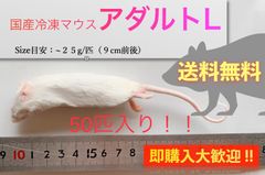【送料無料】国産冷凍マウスアダルトL 50匹入@即購入OK！北海道・沖縄の方も送料無料です！