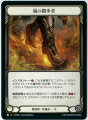 その他 Storm Striders Flesh and Blood HP1 Storm Striders | History Pack 1 | Star City Games