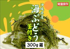 沖縄県産 海ぶどう B品 茎付き 300g タレ付 送料込