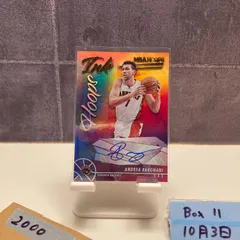 2021-22 Panini Hoops Andrea Bargnani 直筆サインカード TORONTO RAPTORS Ink カード