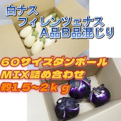 A-STYLE　自家産 白ナス フィレンツェナス B品MIX60サイズショップアカウントではゆうゆうメルカリ便で送れないため沖縄への発送は出来かねます、個人アカウントよりご購入頂けましたら発送可能ですので出品致しましたらそちらよりよろしくお願いいたします
