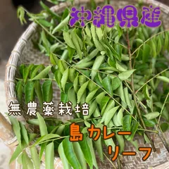 2026年最新】カレーリーフの人気アイテム - メルカリ