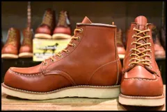 ☆REDWING 8875 [裏スクエア犬タグ] 7 1/2 E (26cm)