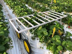 【中古】野菜収穫/運搬台車 「アルミワーカー14型」定植苗の運搬や収穫後の野菜80kgまで積載可能。割引交渉を致します、まずはご質問で問い合わせください。