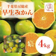 今年も入荷‼️和歌山県産 完熟南高梅 超大玉‼️4Lサイズ 2kg みかん