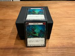 Flesh and Blood FAB SEA 血染めの海 NF