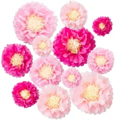 【人気商品】風船 バルーン ペーパーポンポン ペーパーフラワー 結婚式 お花紙 記念日 12枚セット 飾り お祭り バースデー パーティー 100日祝い 女の子 飾り 飾り付け パーティーグッズ 飾り付け 誕生日 イベント 花紙 デコレーション 卒業 桜 イン