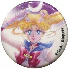 セーラームーン ルナ うさぎ 缶バッジ 当時物 昭和平成レトロ 希少
