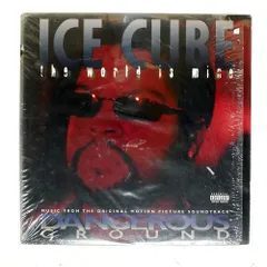 USオリジナル盤 Ice Cube The Predator アナログ盤 送料込 USオリジナル盤 Ice Cube The Predator アナログ盤 送料込