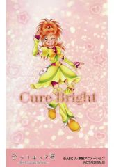 【中古】キャラカード キュアブライト プリキュア20周年限定ミニカード 「全プリキュア展 ～20th Anniversary Memories～」 会場限定 エポスカード新規入会/提示特典