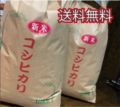 令和7年産新米＊農家力作⭐︎新潟とちおのコシヒカリ精米10kgぴかぴか