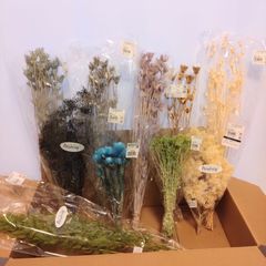 【訳あり】花材まとめ売り