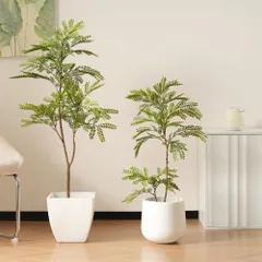 2025年最新】JACARANDAの人気アイテム - メルカリ