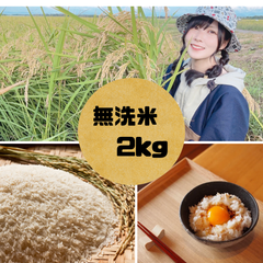 秋田県産あきたこまち 無洗米2kg