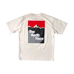 THE NORTH FACE ノースフェイス グラフィックプリント 半袖Tシャツ L/ホワイト/マウンテン/アウトドア