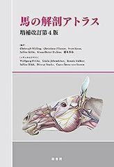 図解猫の解剖アトラス - メルカリ