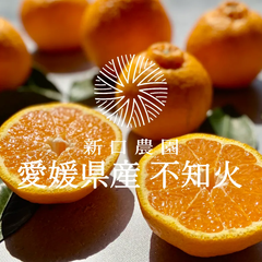 【産地直送】愛媛県八幡浜産 【不知火】3kg