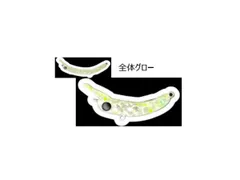 ウッサS　メルティスパロー　ペピーノSR  さかさにょろ35  Gravity ウッサS メルティスパロー ペピーノSR さかさにょろ35 Gravity