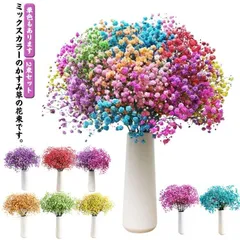 2束セットかすみ草カスミソウ誕生日ブーケ大さいサイズプレゼントボリューム花結婚ウエディング祝い花束ドライフラワー
