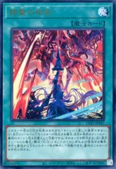2025年最新】COMPLETE FILE －白の物語－の人気アイテム - メルカリ