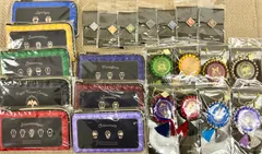 【ツイステ ツイステッドワンダーランド】マルチケース×8種+バッグチャーム×8種+ヘアアクセサリー×7種 正規品 セット 新品未開封