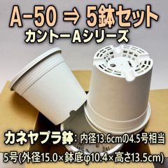 A-50白(カネヤ＊カントー)プラ鉢5鉢セット＊多肉植物・塊根植物コーデックス・アガベ・サボテン・ハオルチア・観葉＠フラワーショップ江口※黒インク状の付着が有ったりします