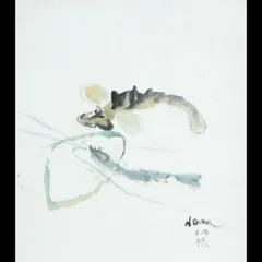 野間 仁根 マリオネットの散歩 豪華大判画集画、新品額付