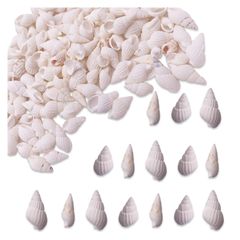 シェルパーツ 貝殻 10ー17ｍｍ ホワイト 小さめ 200個 巻貝 海 マリン レジン 封入 ハンドメイド アクセサリー パーツ BD4141