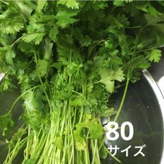 自然栽培野菜セット きゅうり なす ピーマン ししとう トマト