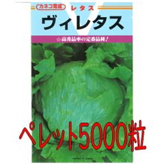 カネコ種苗　Ｖ（ヴイ）　レタス　ペレットＬ５０００粒