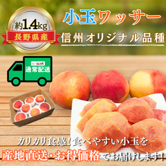 小玉ワッサー〜信州生まれの新食感フルーツ〜【内容量】約1.4kg【配送方法】通常配送【サイズ】L以上【品目】ワッサー【品種】当店お任せ【産地】長野県【規格】ご家庭用A品【販売会社】有限会社青木青果