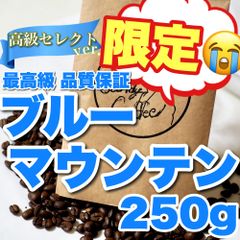 コーヒー豆　自家焙煎　ブルーマウンテン