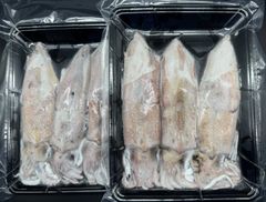 【生食用】急速冷凍 剣先いか・白いか 3杯入×2pc(p/約550g)