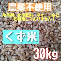 残りわずか！【安全で良質】農薬不使用  くず米  小米  30kg