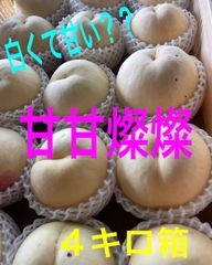 山梨県産　桃(甘甘燦燦)  訳あり4キロ箱